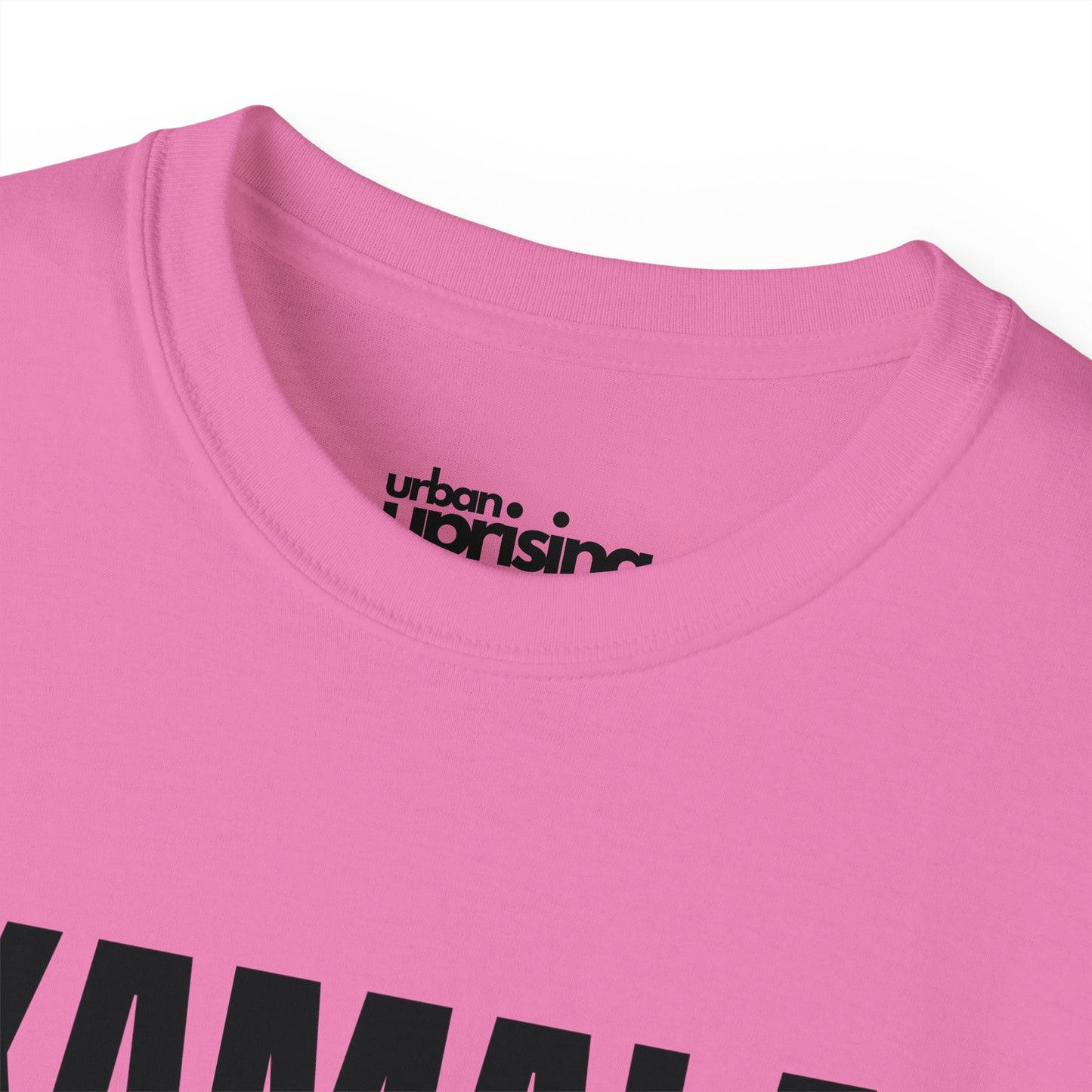 Copy of Smash the Patriarchy (Pink) - Women's Rights Tee