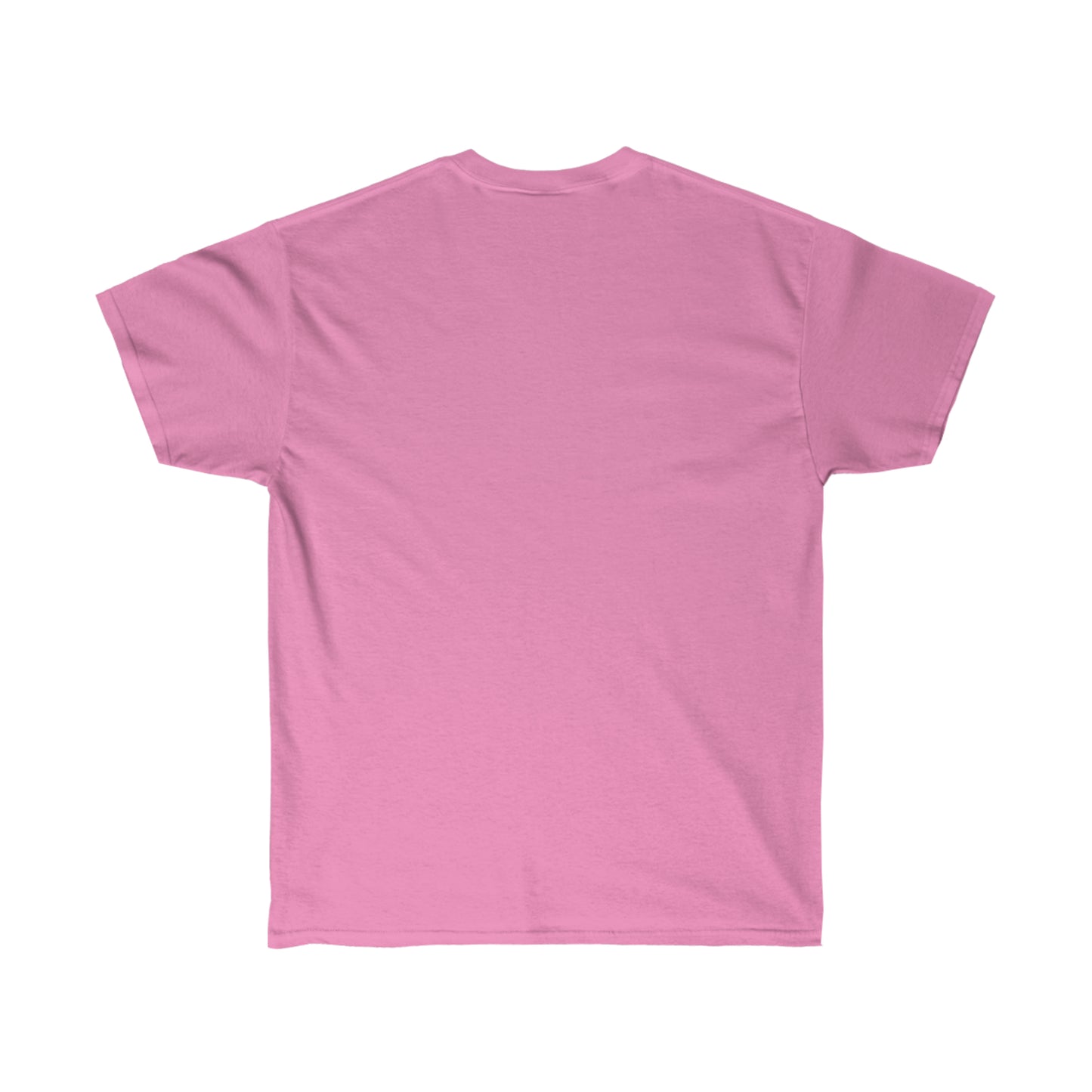 Smash the Patriarchy (Pink) - Women's Rights Tee